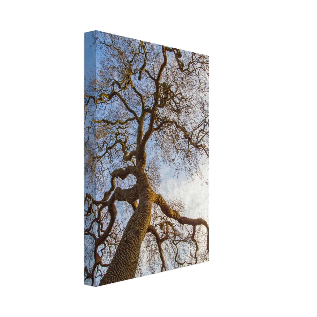 029a2af3-ba13-41ca-97b2-1695d0512ceb