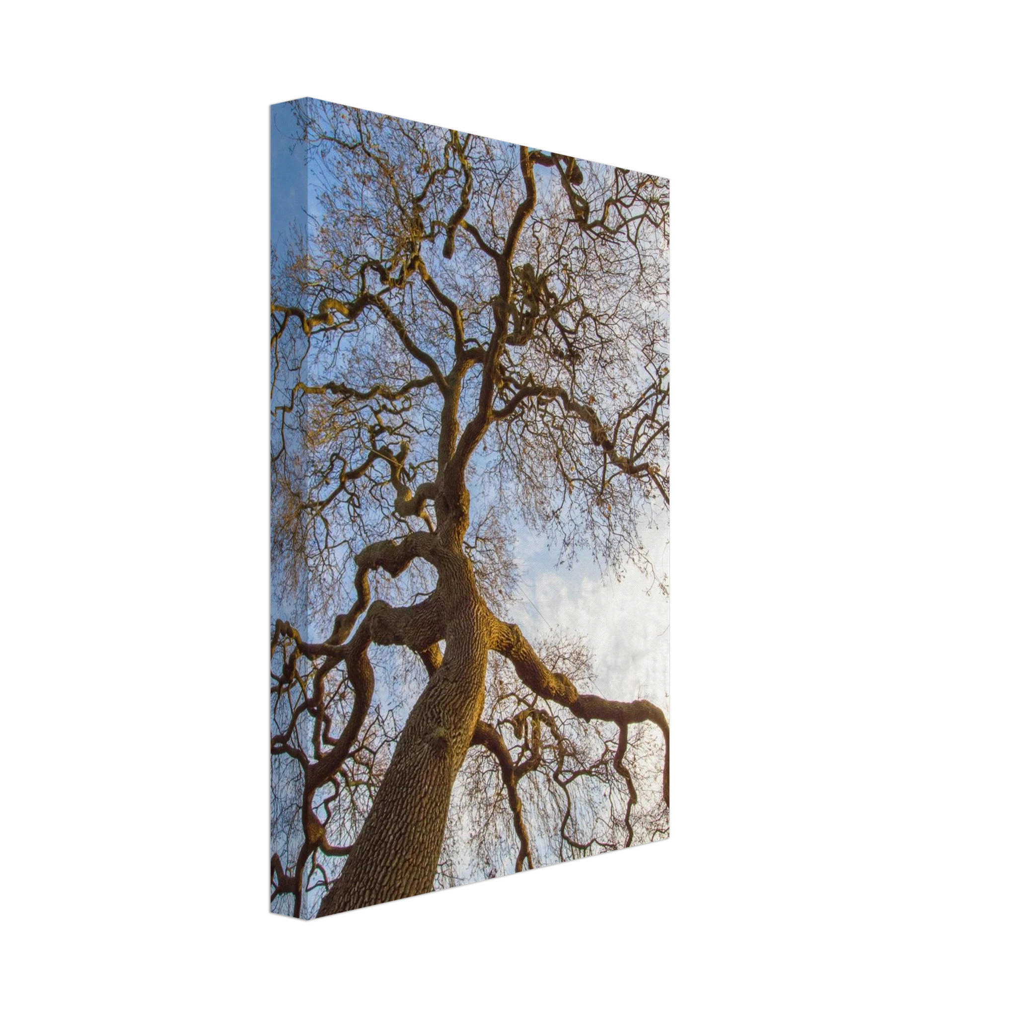 029a2af3-ba13-41ca-97b2-1695d0512ceb