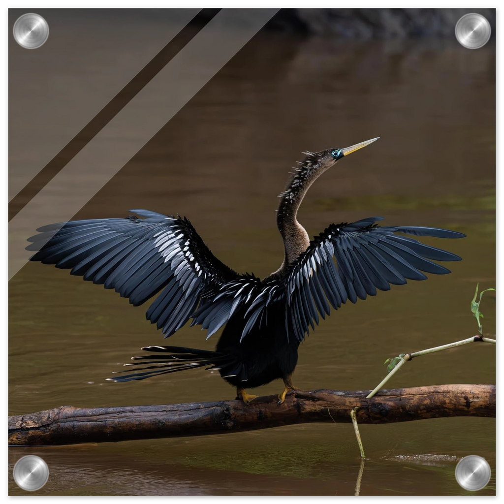 6a913c8f-3a56-4aaf-a40b-1506898ce5cb