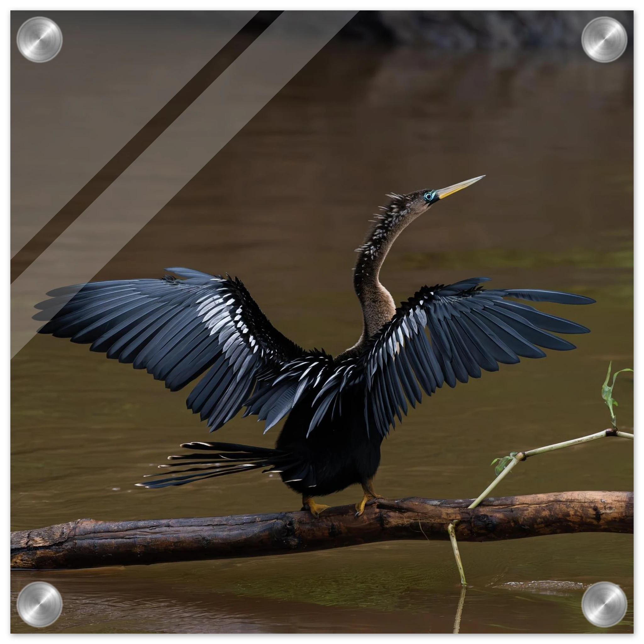 6a913c8f-3a56-4aaf-a40b-1506898ce5cb