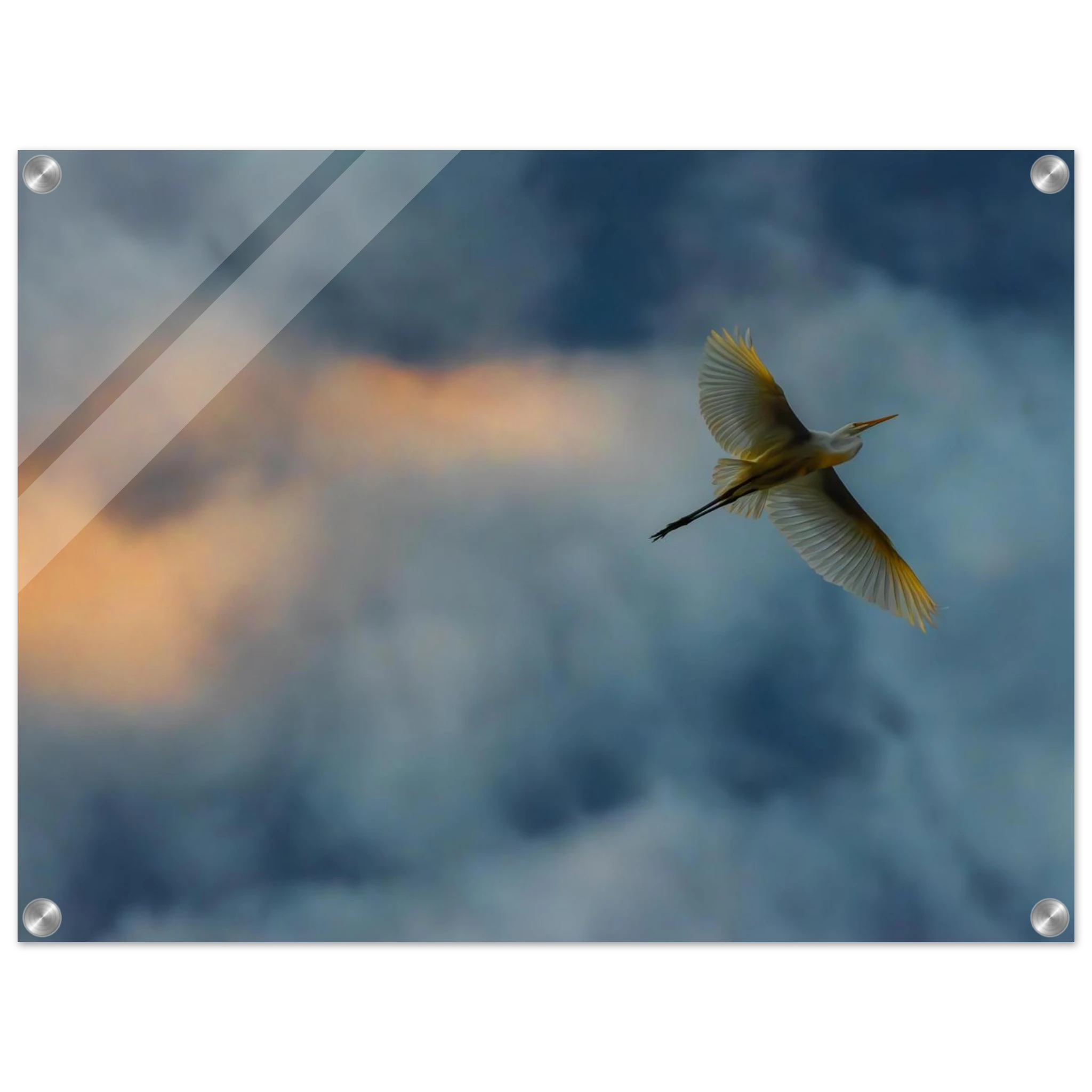 6b478cc3-9fc1-4b9f-86be-0c9eb0969b47