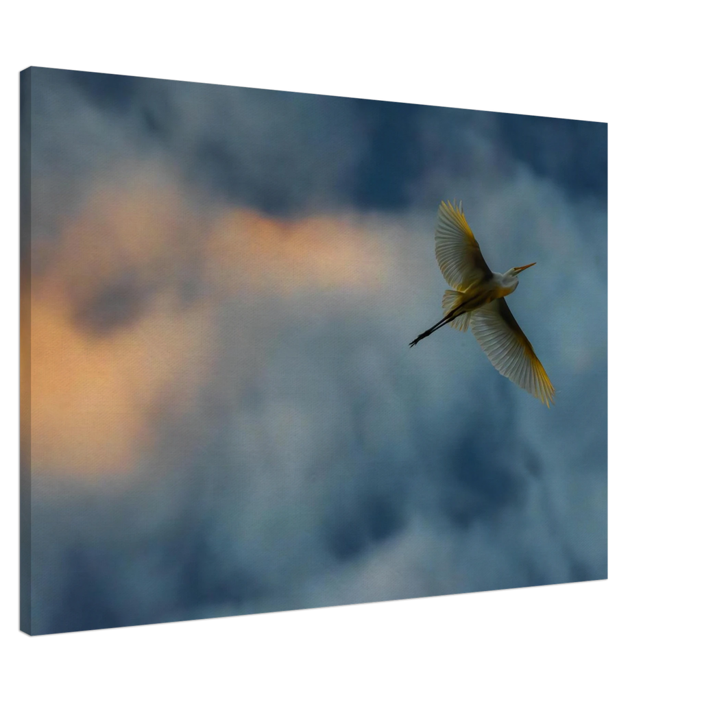 851889fd-4559-4fa2-b8a7-9f51a2e9c451