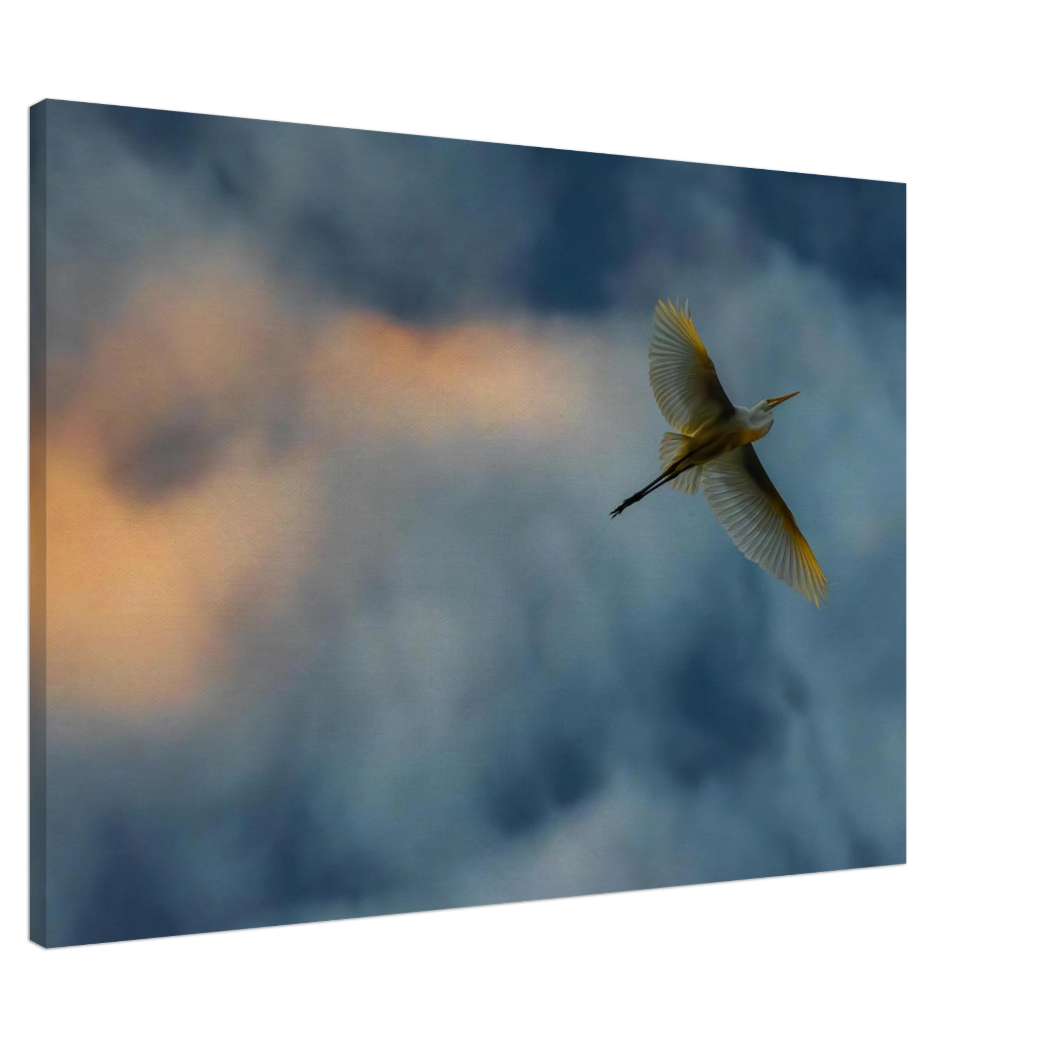 851889fd-4559-4fa2-b8a7-9f51a2e9c451