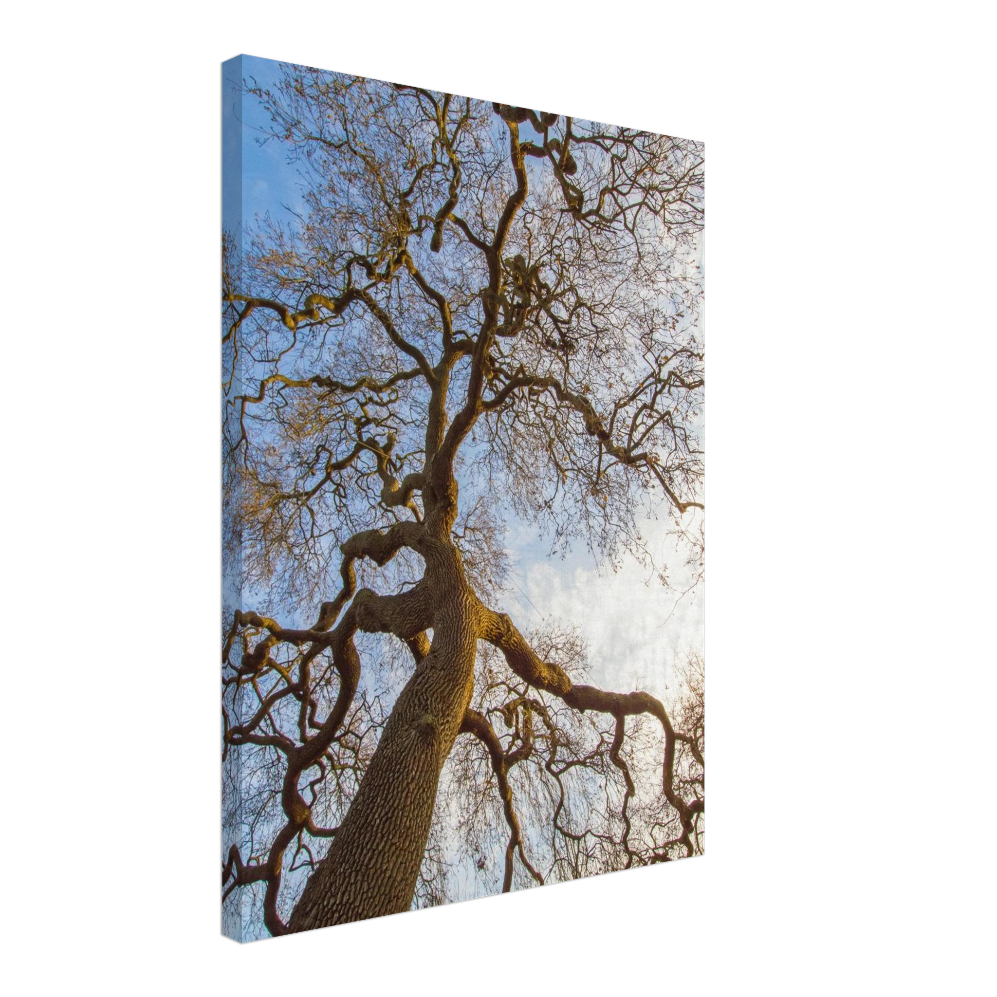 99267c99-816b-4f71-bf6b-dc34c89d32c6