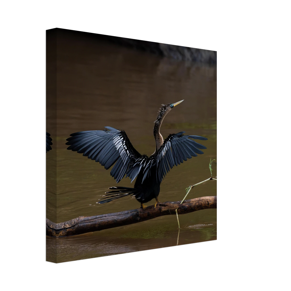 99c58fbb-5be1-4cf1-b1f5-69aa3802e064