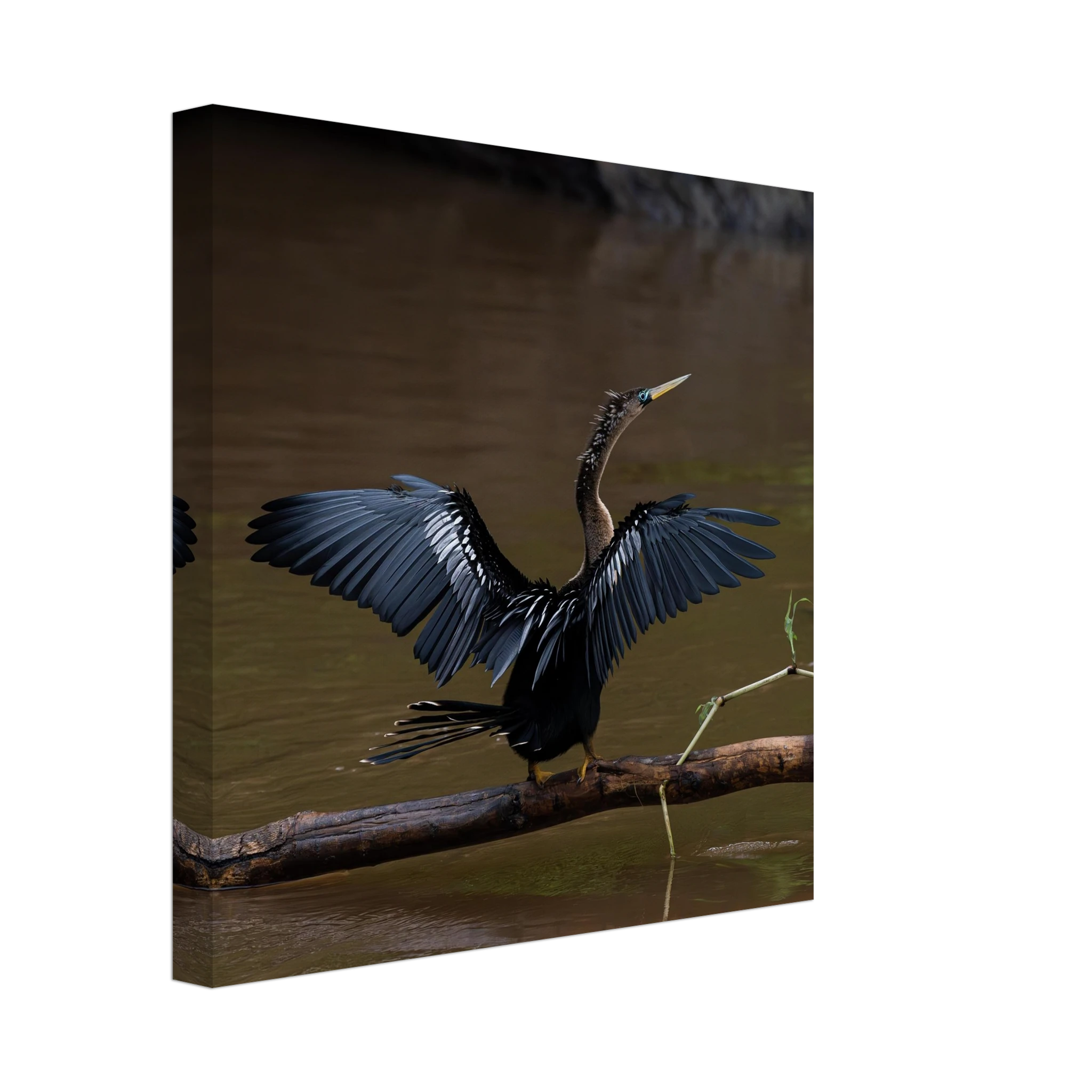 99c58fbb-5be1-4cf1-b1f5-69aa3802e064