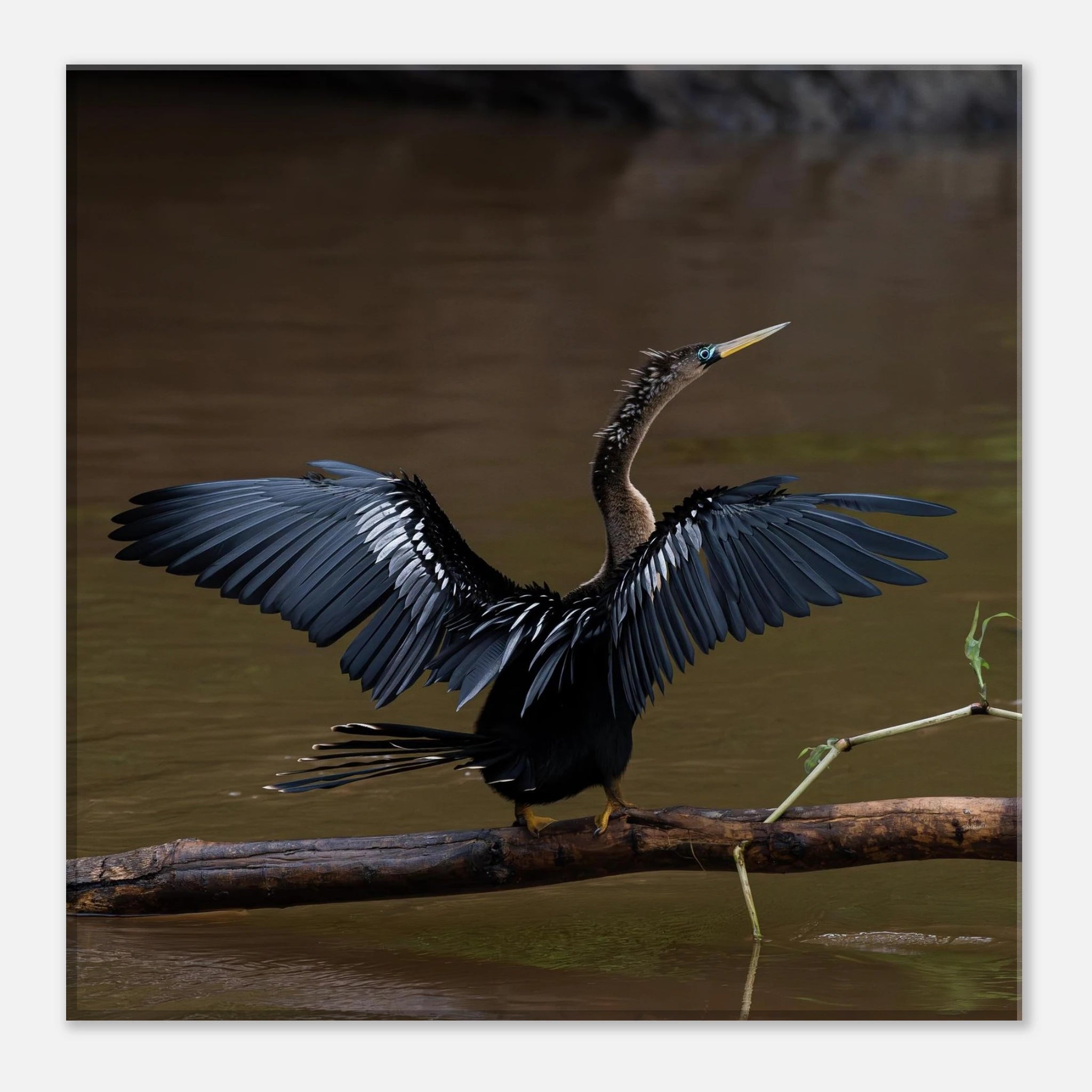 9f789dcd-d470-42df-9723-b44b53408b0c