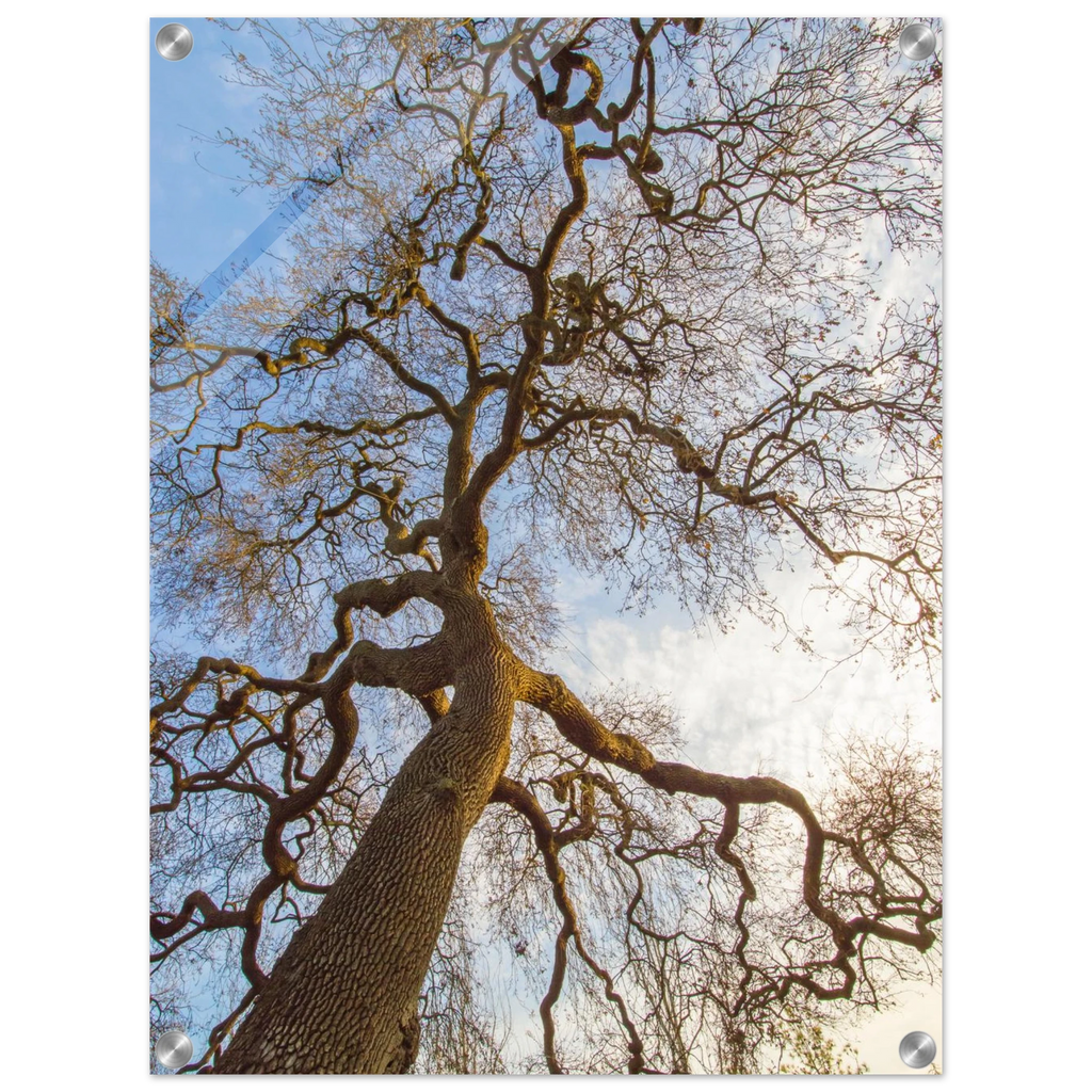 a2ff7174-e8d0-4f0c-8227-08f777f31291