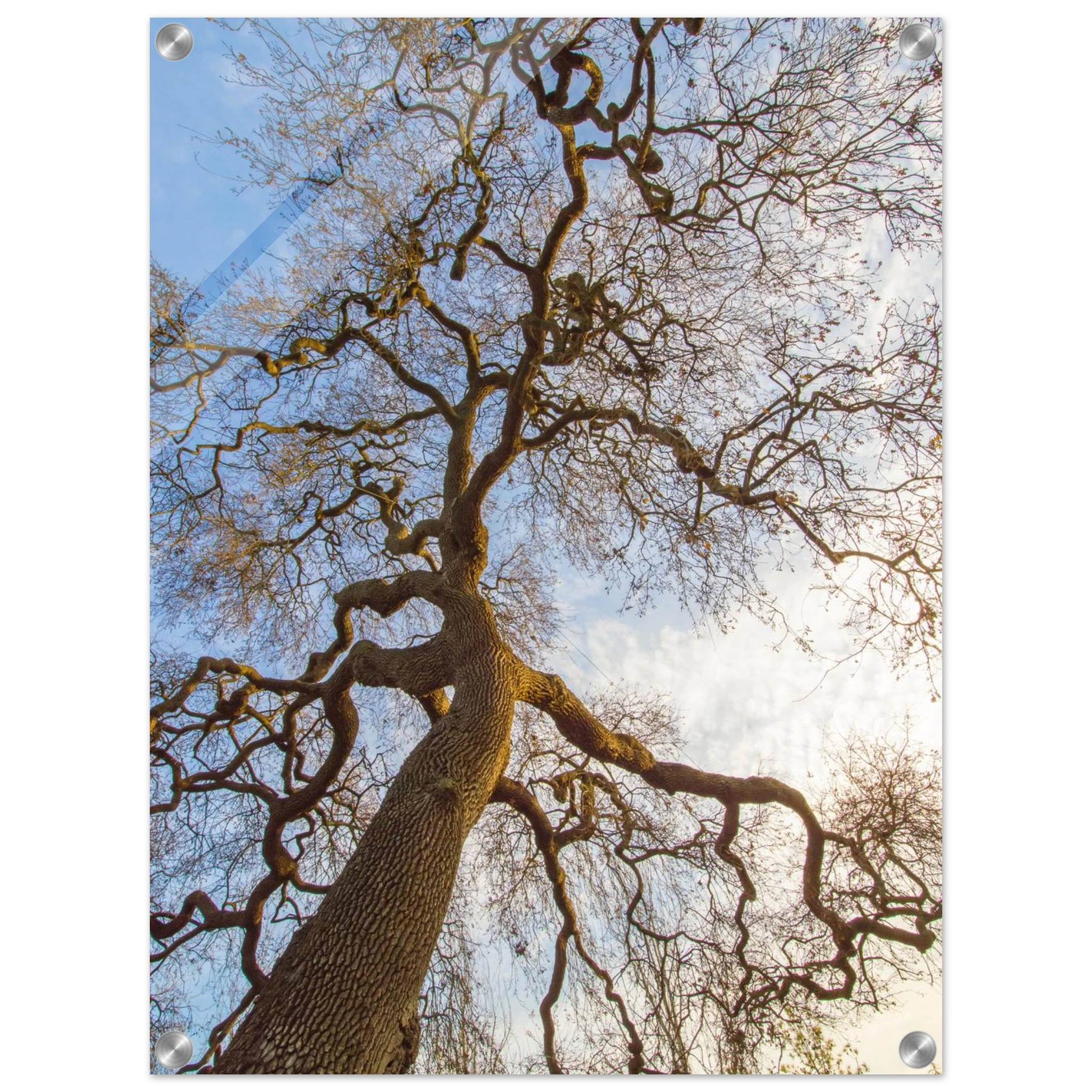 a2ff7174-e8d0-4f0c-8227-08f777f31291