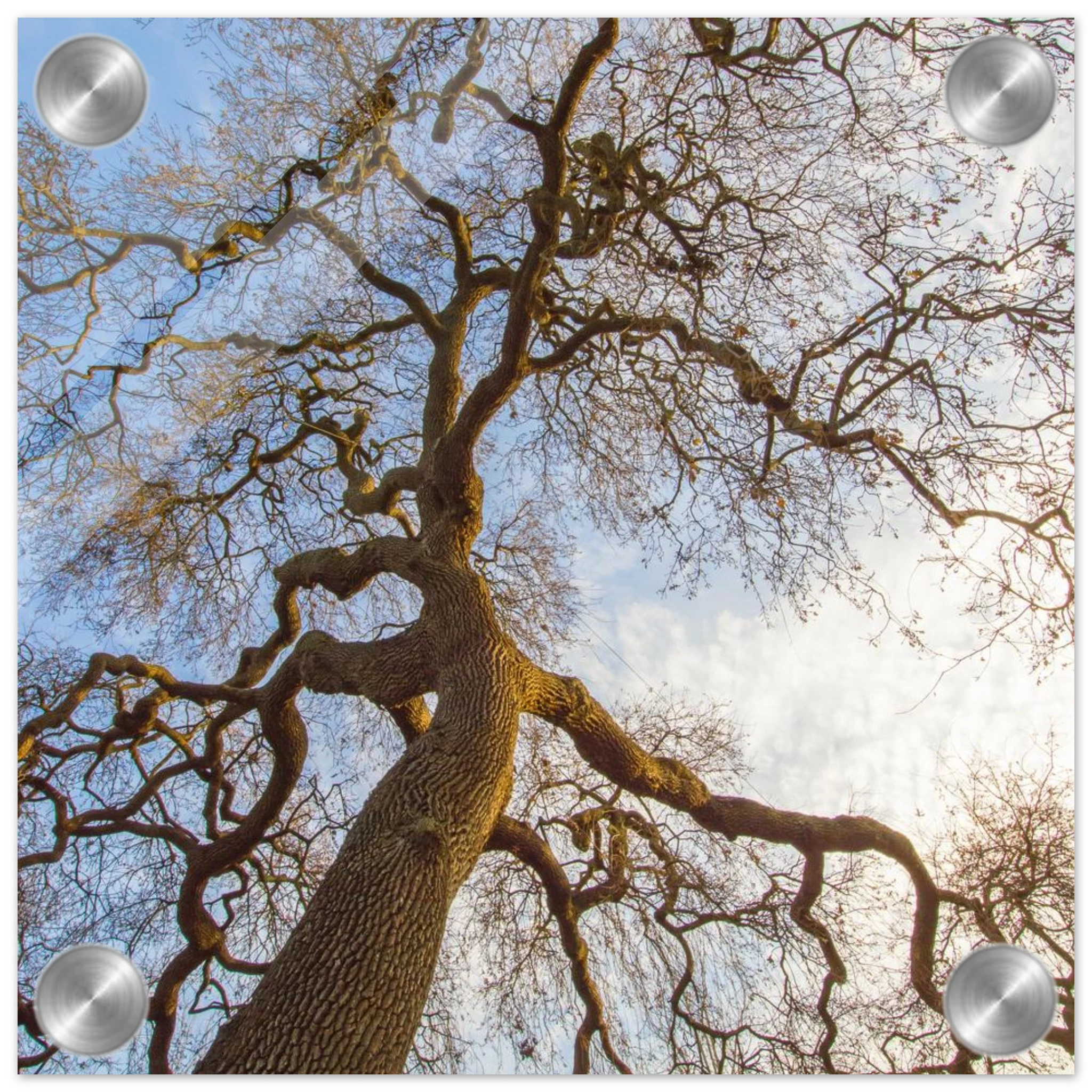 c90ca7f7-90d7-42e7-803b-7ede84b88c3e