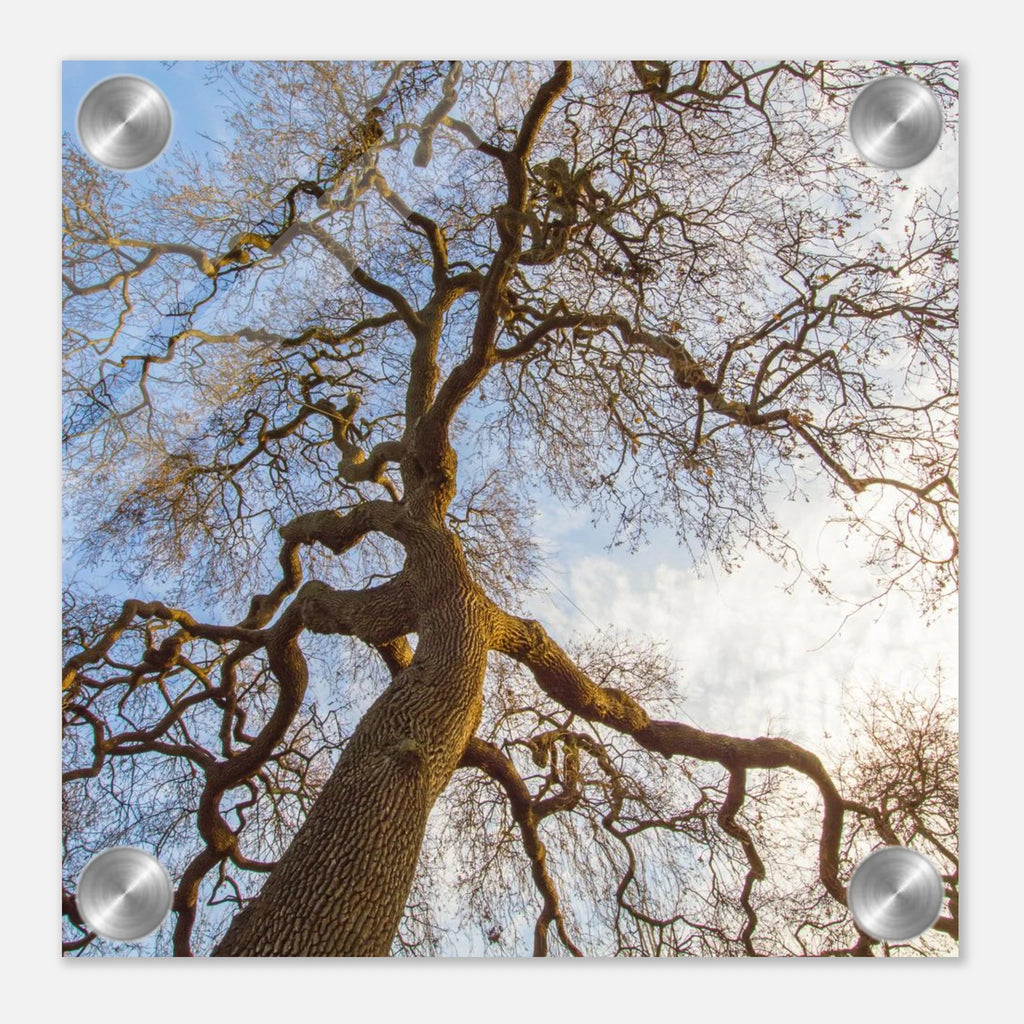 d9fb4dc3-80f3-44b4-beba-0bf779808aef