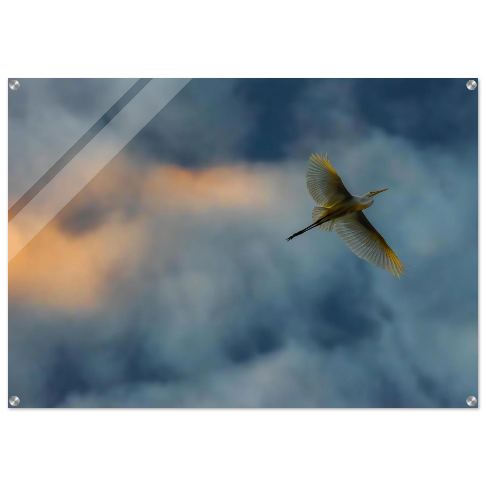 e77820a7-2edd-4b17-8649-e877820b641e