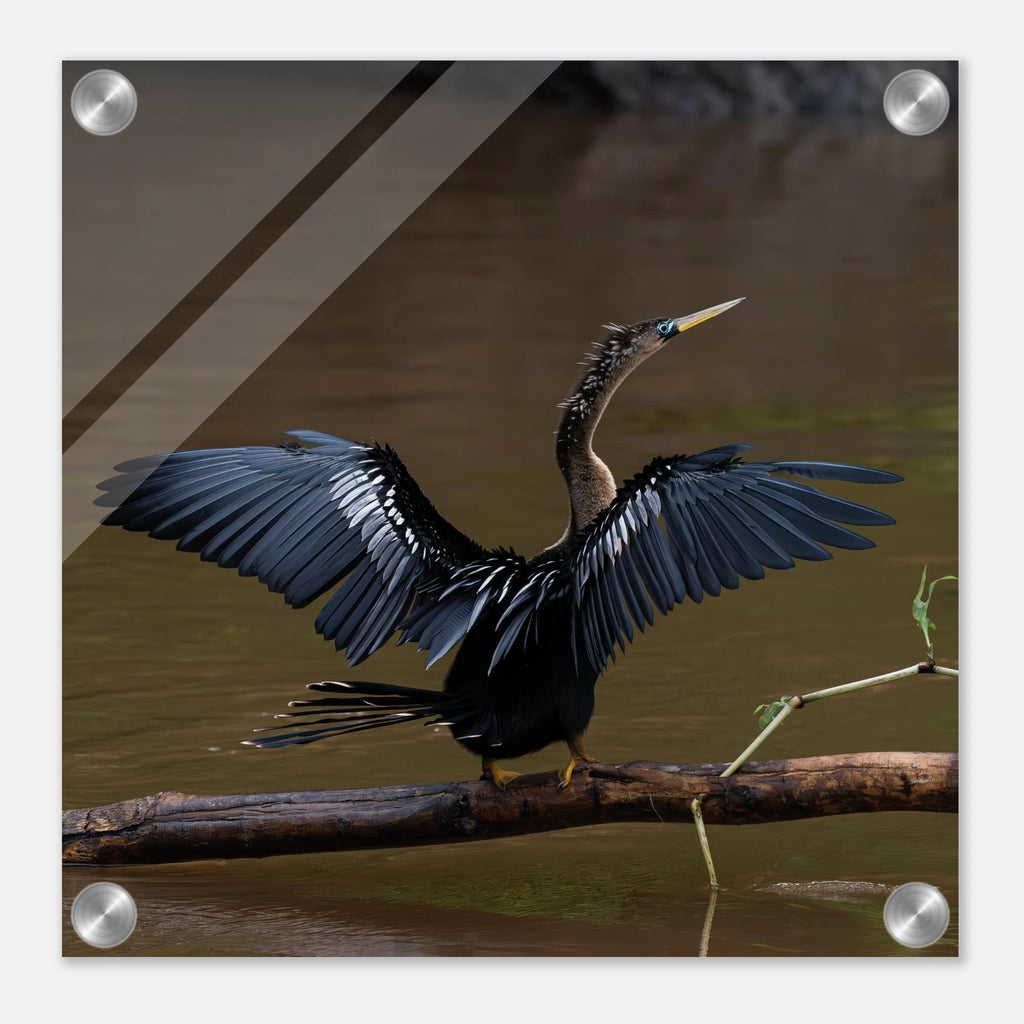 f1971d2a-03d7-4a28-86c2-b9219d334152