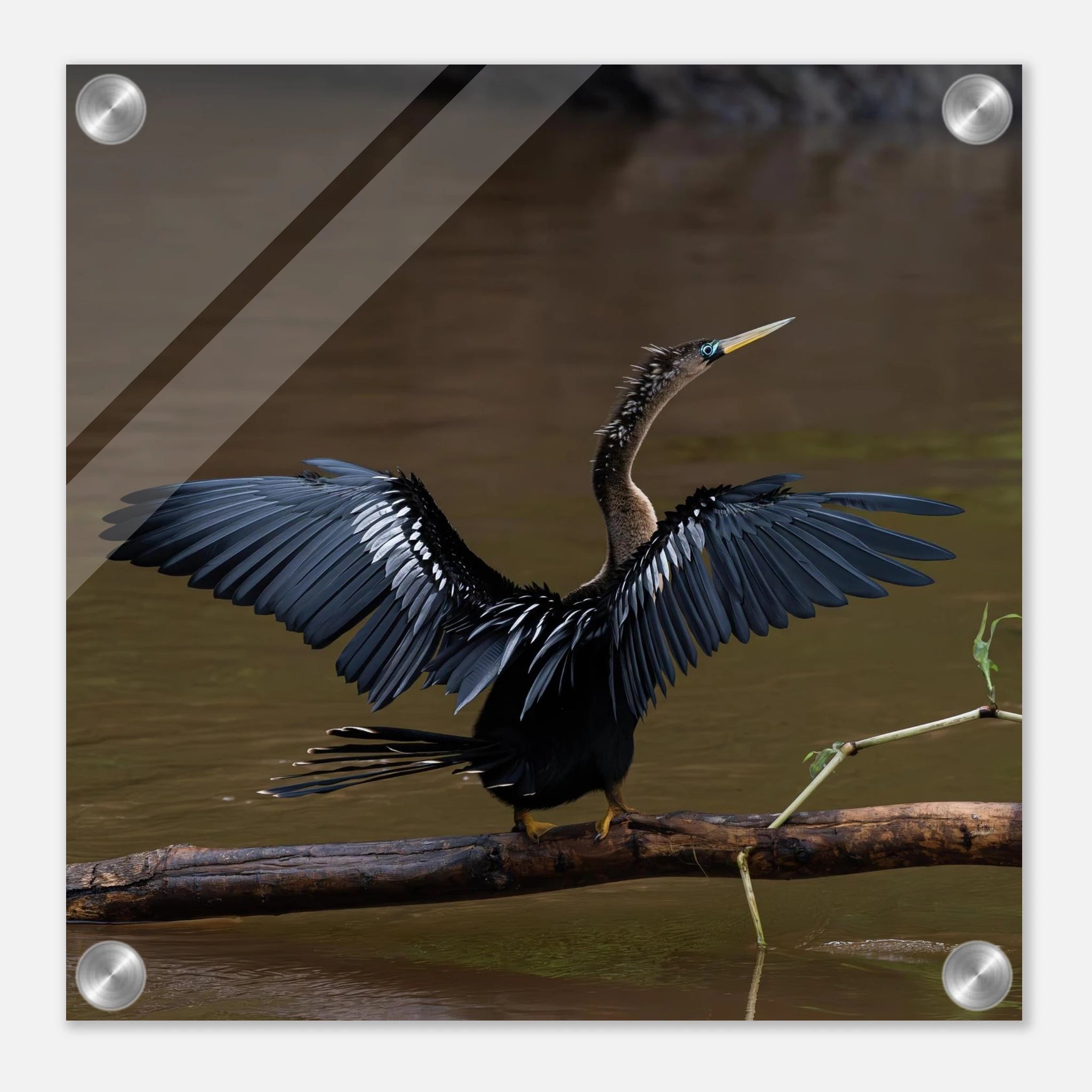 f1971d2a-03d7-4a28-86c2-b9219d334152