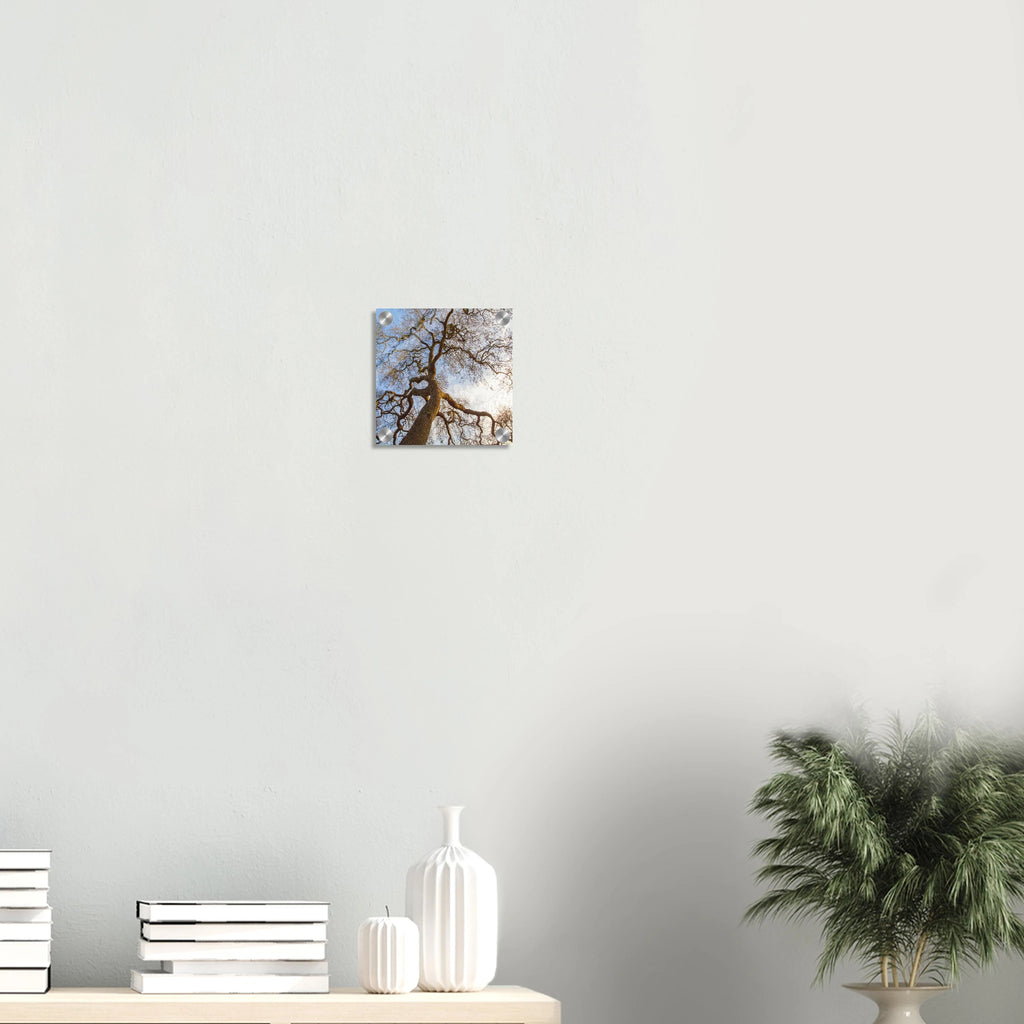 fad6c338-ceff-4b3a-8417-4abb4ef72431