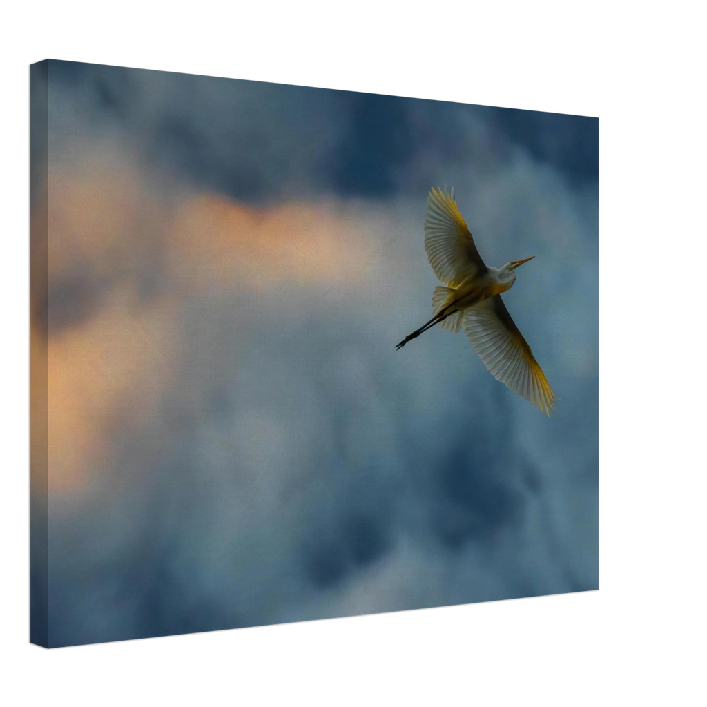 fdfce85f-4d33-4cd3-b3c0-16d9019d8371