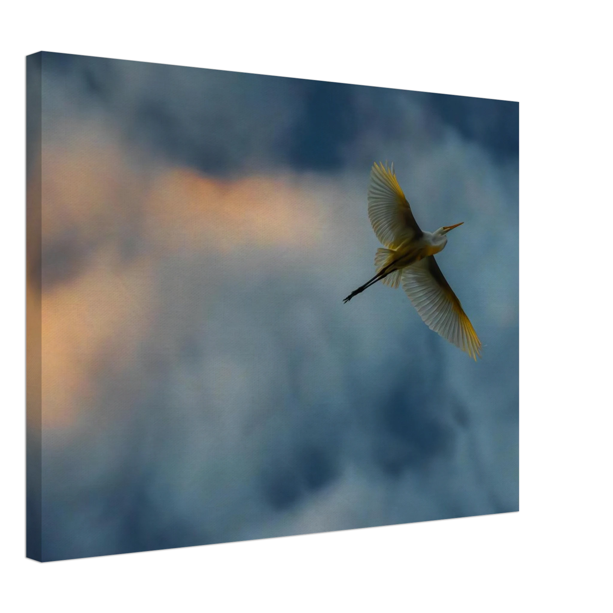 fdfce85f-4d33-4cd3-b3c0-16d9019d8371